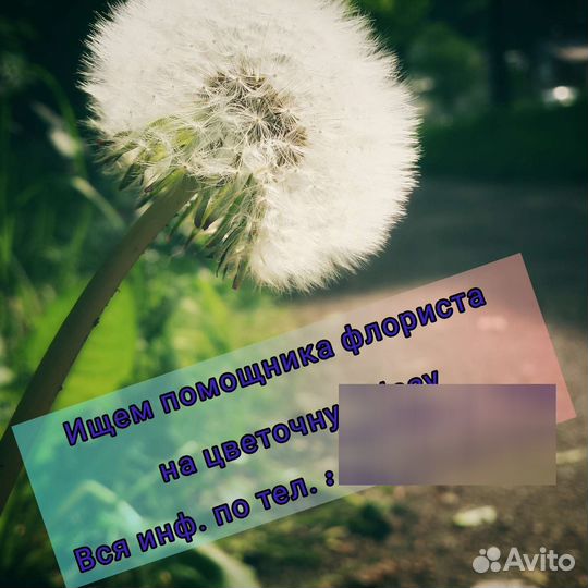 Помощник флориста