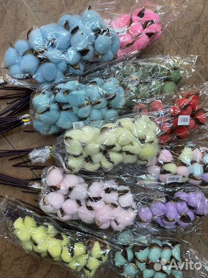 Хлопок сухоцвет