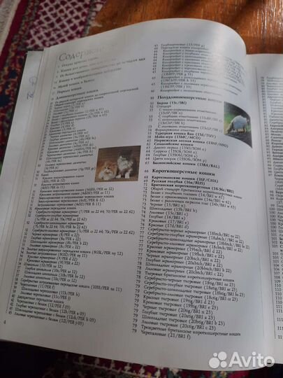 Книга о кошках
