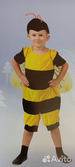 Костюмы насекомых для мальчика. (Аренда)