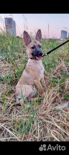 Молоденькая девочка