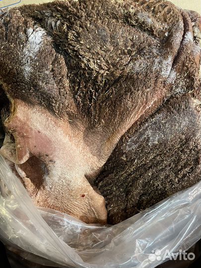 Мясо для собак, тримминг говяжий, калтык, рубец