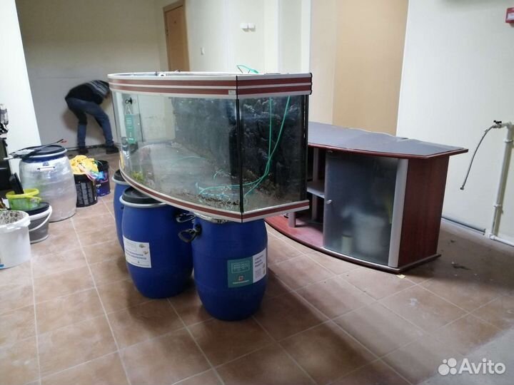 Аквариум перенесём / перевезём