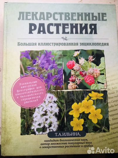 Книга о растениях