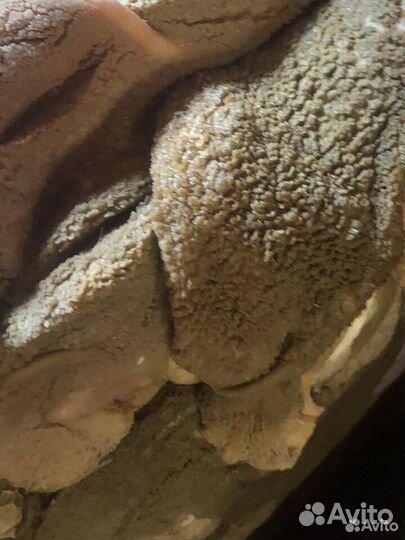 Субпродукты и сушеные лакомства для собак