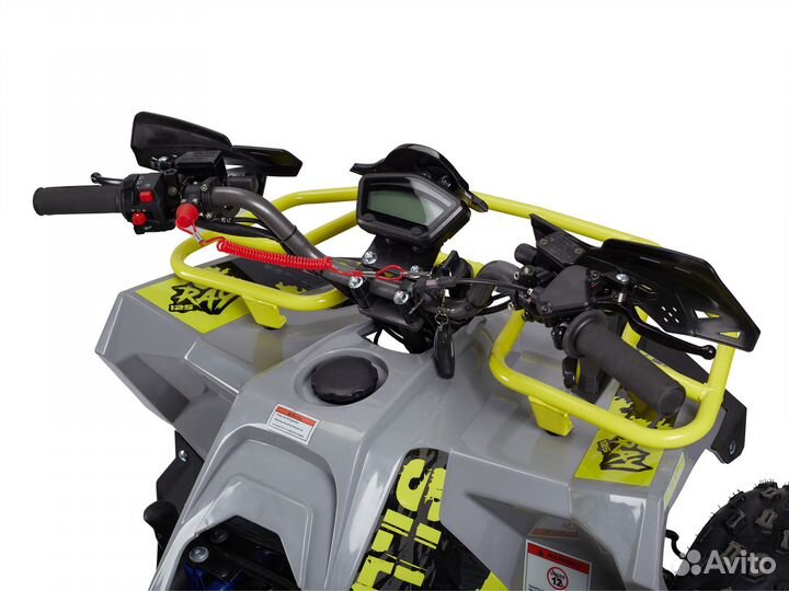 Квадроцикл Ray 8 Lux