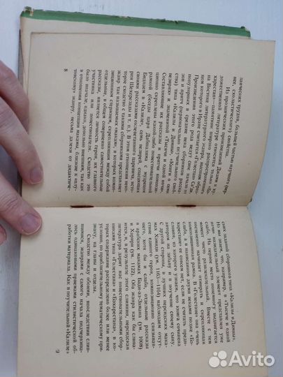 Джами. Бэхарестан (весенний сад). Academia 1935г