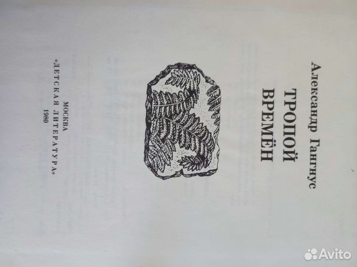 Тропой времен