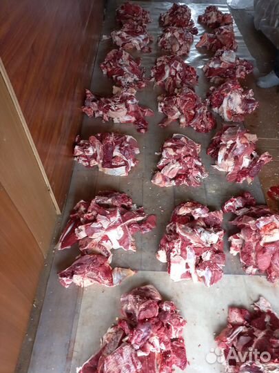 Мясо говядина