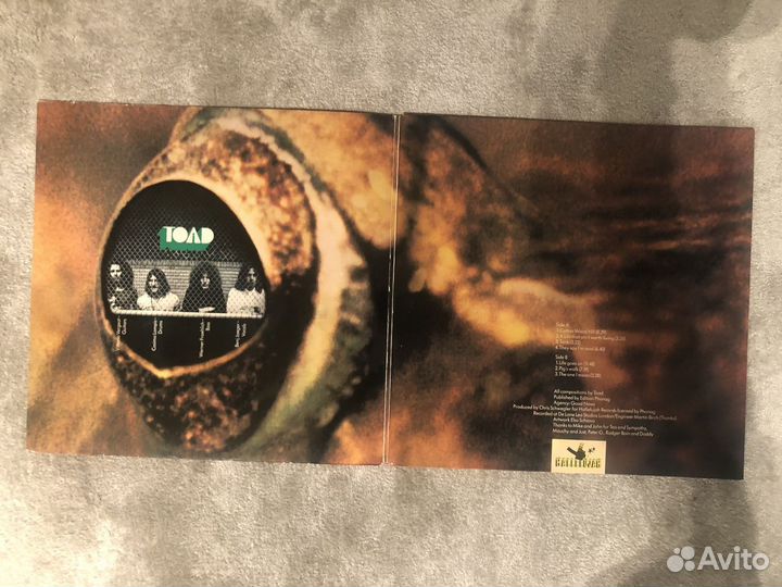 Toad – Toad, 1st pressing, NM, Mega Rare