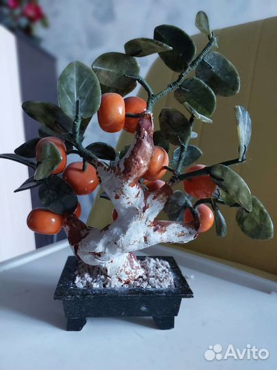 Дерево фен-шуй