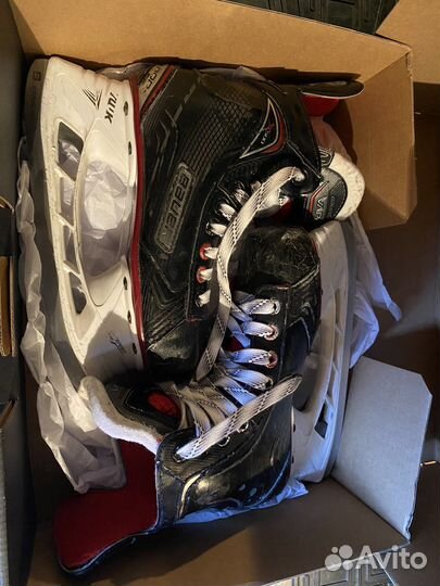 Коньки bauer vapor x500