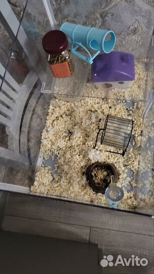 Домик для хомяка