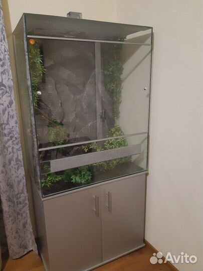 Террариум для рептилий