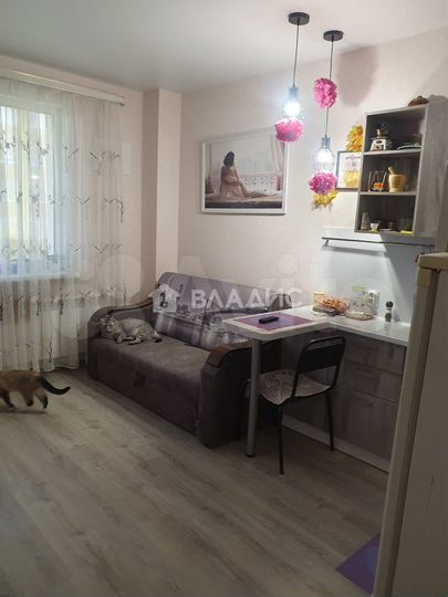 Квартира-студия, 24,7 м², 2/4 эт.
