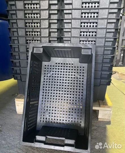 Пластиковые ящики собственное производство