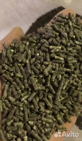 Корм для прудовой рыбы