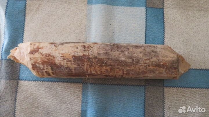 Дерево погрызанное бобром