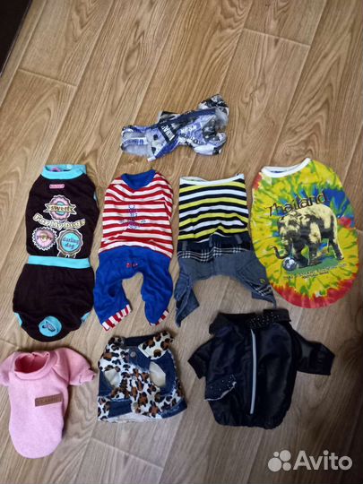 Одежда для маленьких собак