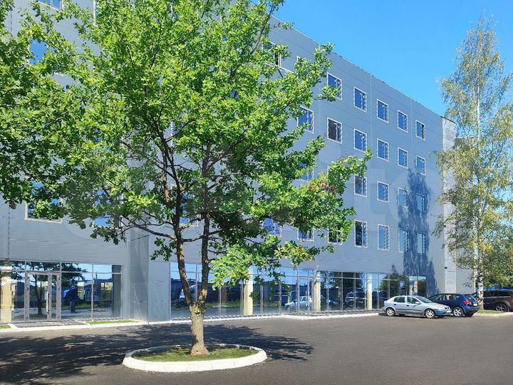 Торговая площадь, 1077 м²