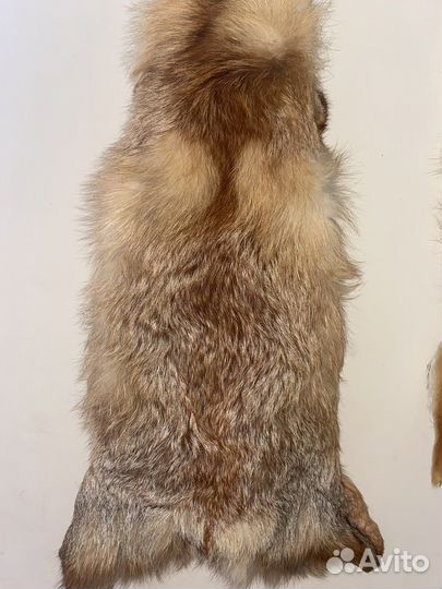 Шкура (мех) лисы рыжая (без хвоста)