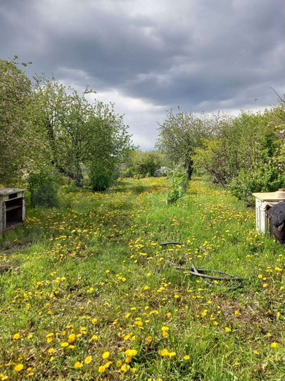 Дом 49 м² на участке 26 сот.