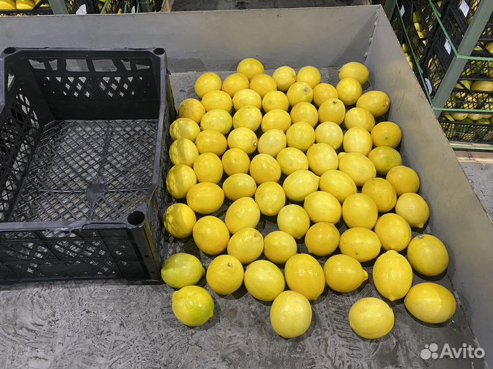 Овощи фрукты оптом