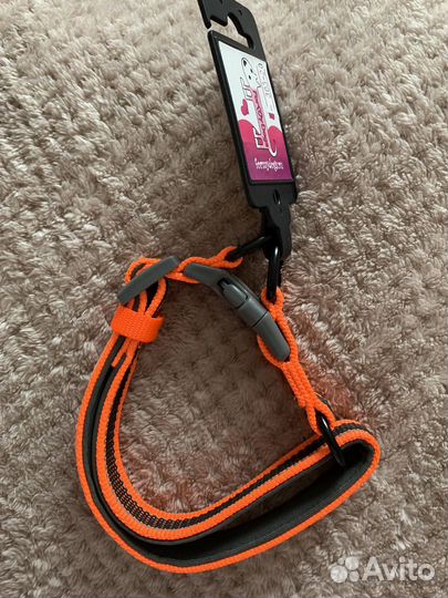 Ошейник для собак