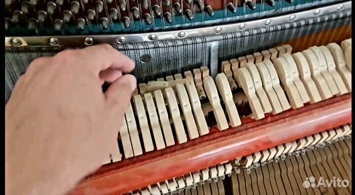 Ремонт и настройка музыкальных инструментов