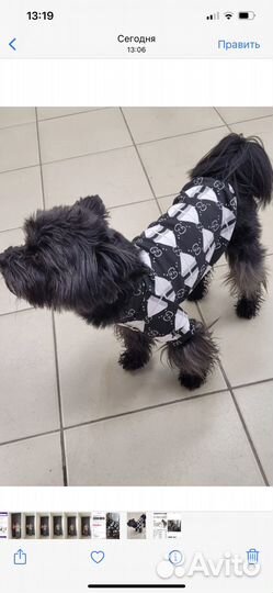 Одежда для собак и кошек м