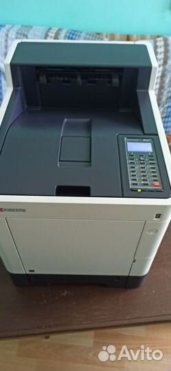 Kyocera Ecosys P6235cdn цветной, Epson WorkForce W