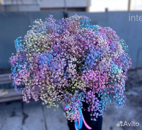 Гипсофила Букет из гипсофилы