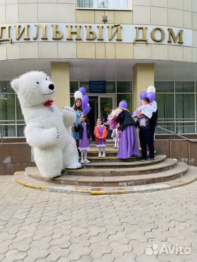 Поздравление Белого Медведя