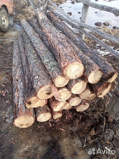 Столбы лиственные