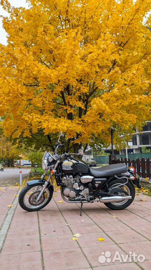 Triumph Thunderbird 900