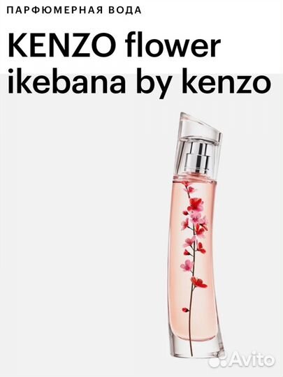 Gucci Tiger Givenchy L'Interdit Kenzo Ikebana