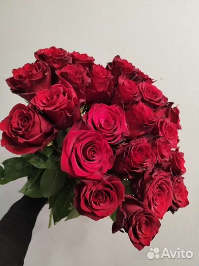 Розы Цветы Букеты 25 51 151 201 101 501 опт