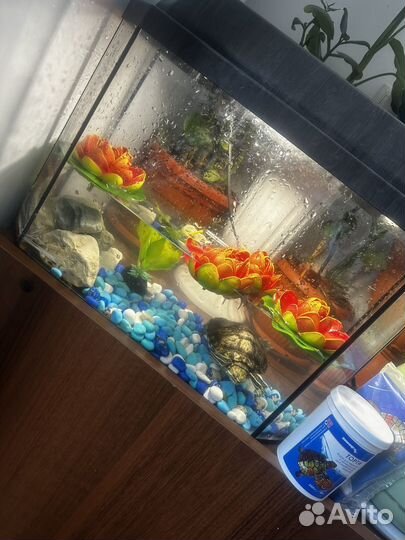Аквариум