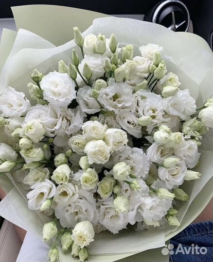 Цветы эустома