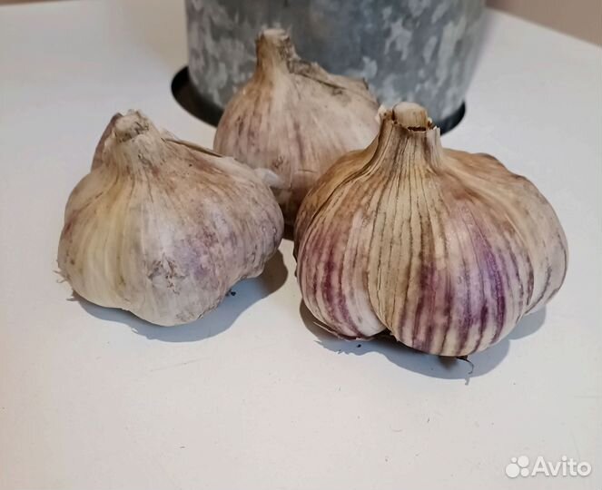 Чеснок