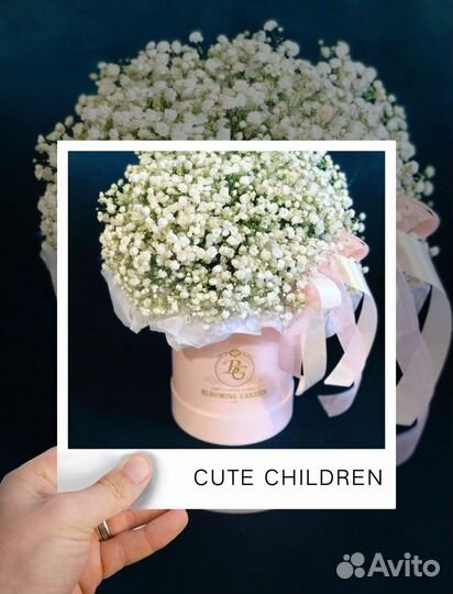 Букеты и композиции из гипсофилы