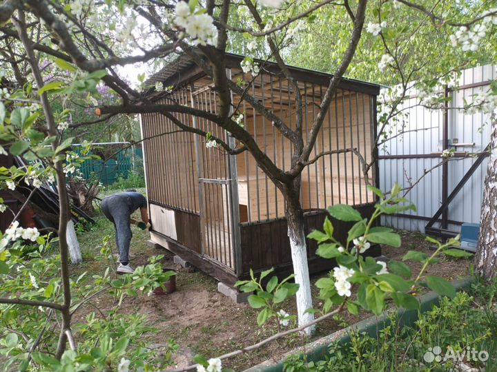 Вольеры для собаки