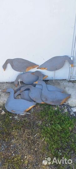 Профиля гусей