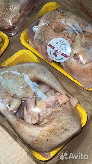 Домашнее мясо кур