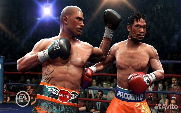 Игра Fight Night: Champion для XBox 360