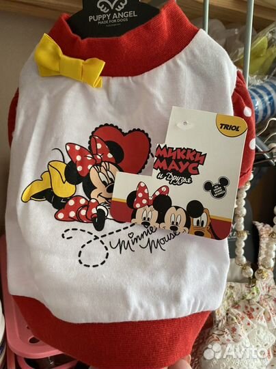 Одежда для собак