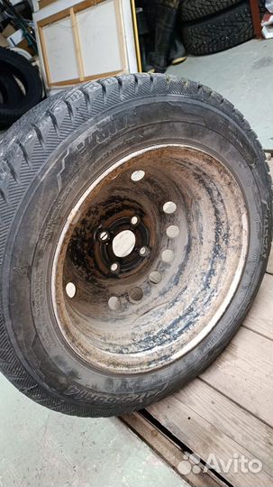 КАМА Alga (HK-531) 175/65 R14