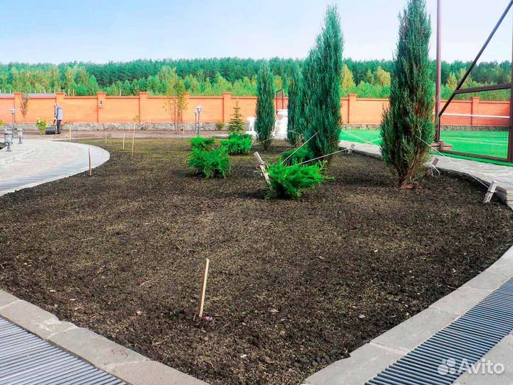Газон под ключ