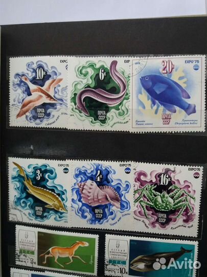 Почтовые марки