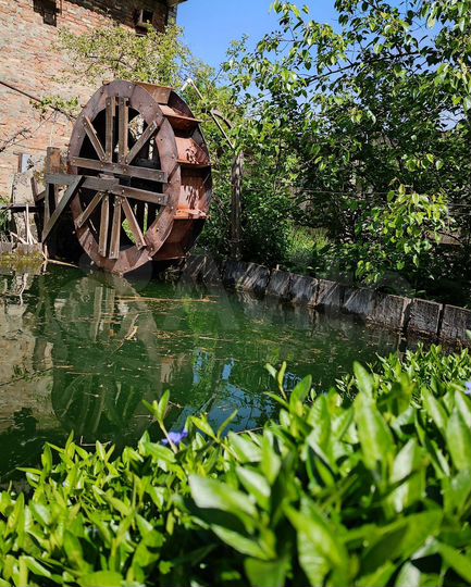 Дом 42 м² на участке 12 сот.